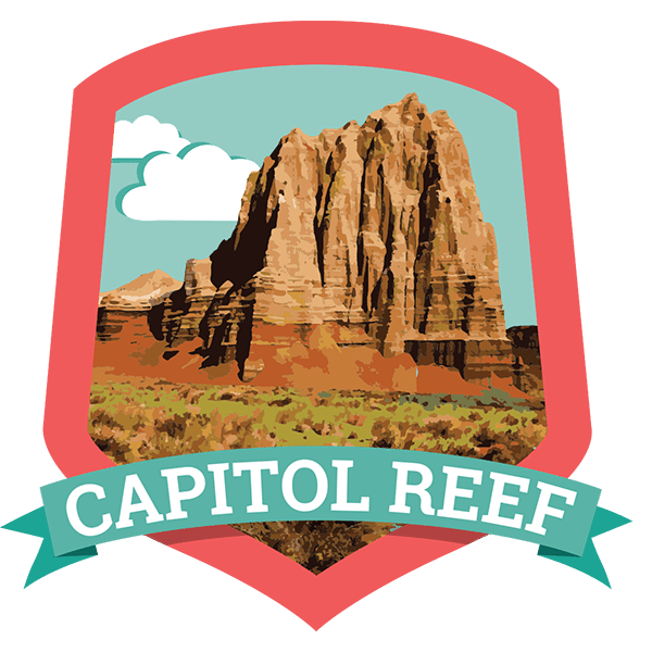 NPS Logo