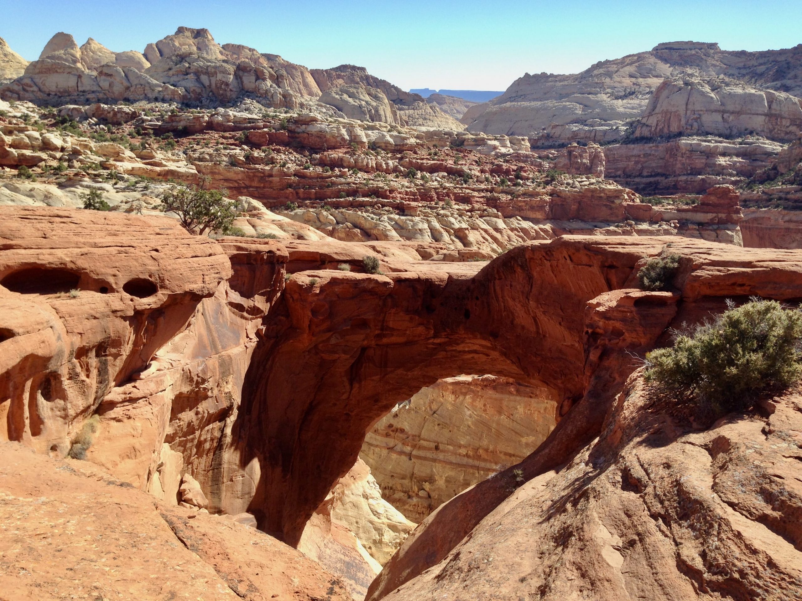 Cassidy Arch